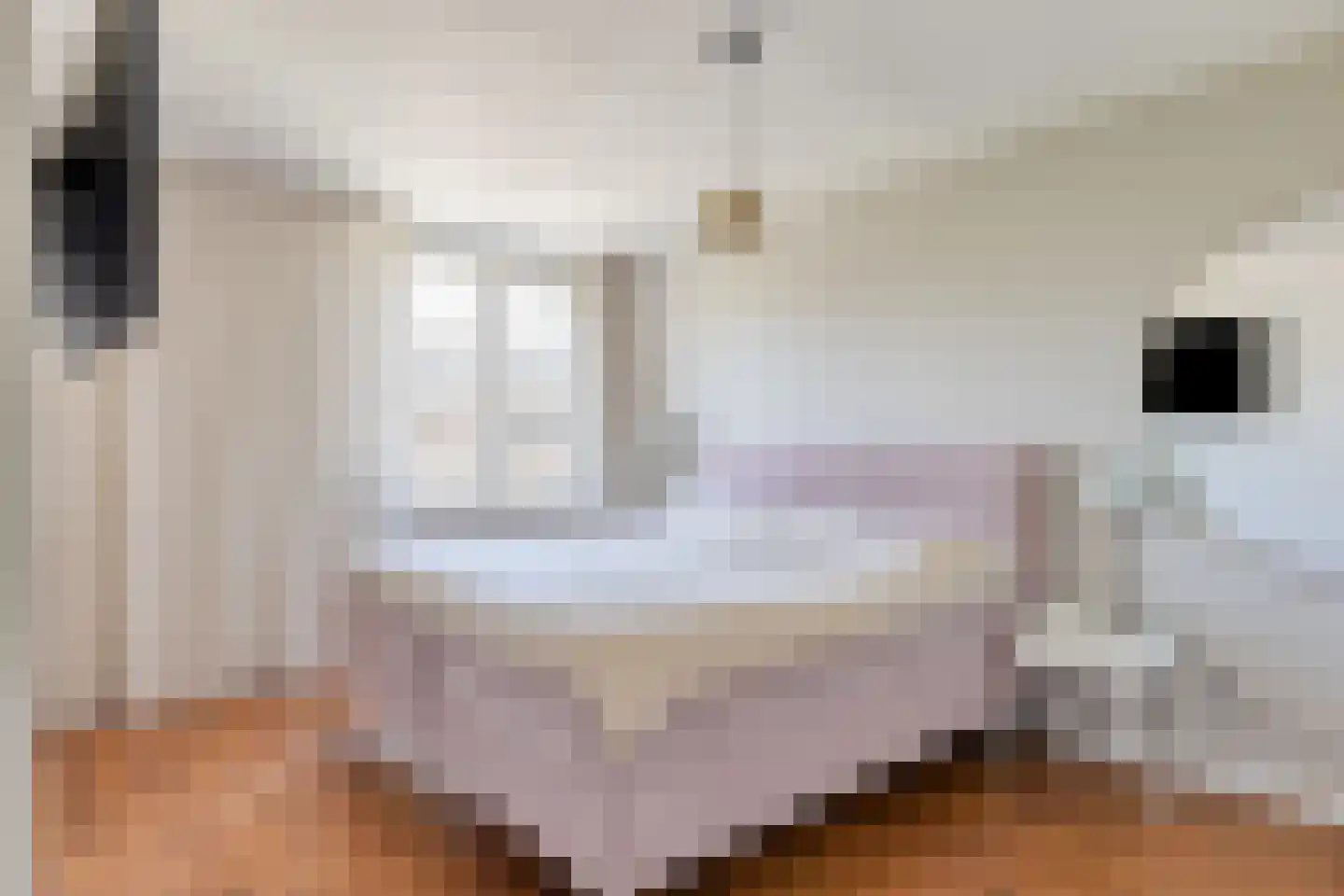 van Wisstraat 26 Helden thumbnail 18