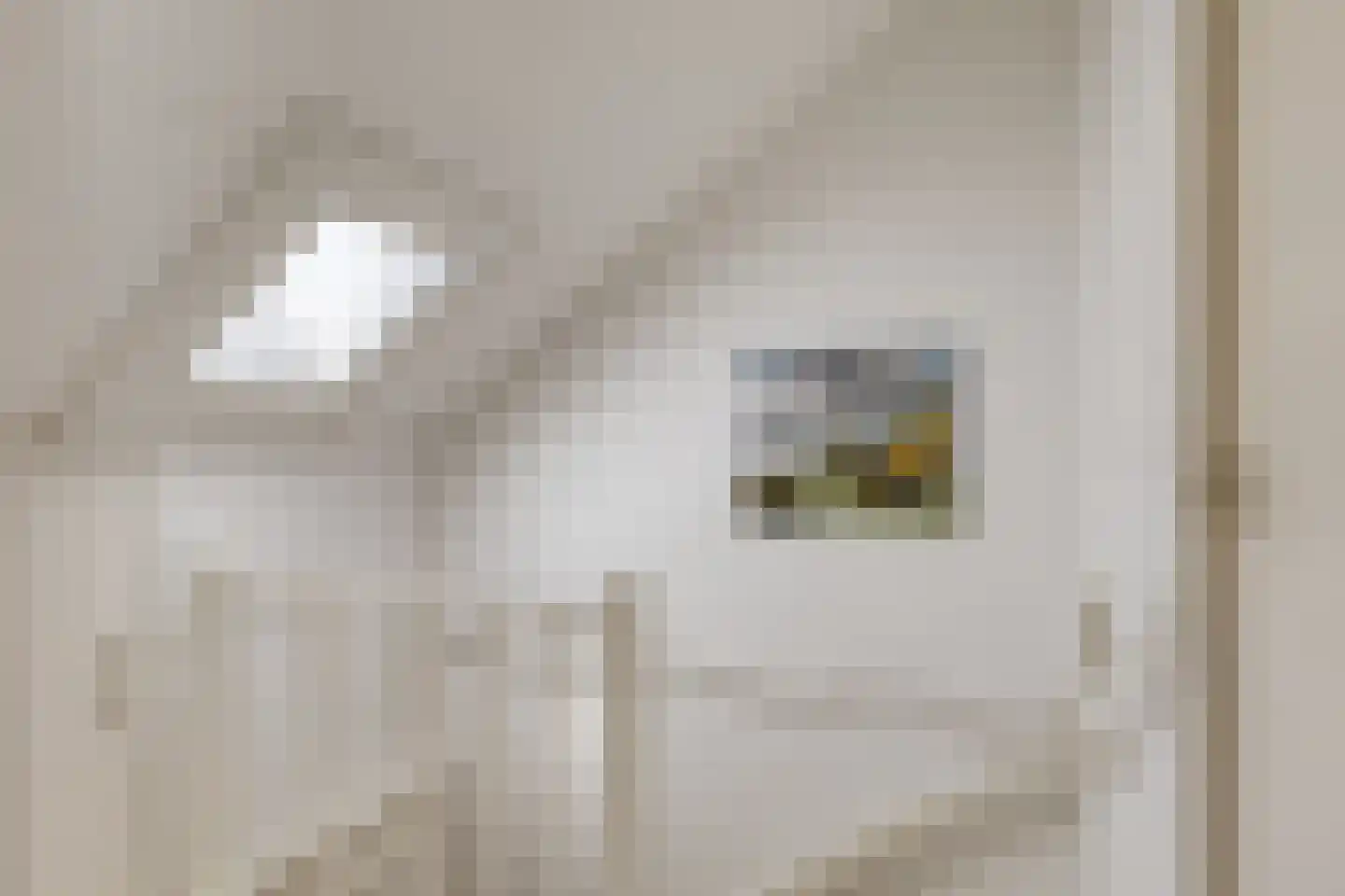 van Wisstraat 26 Helden thumbnail 26