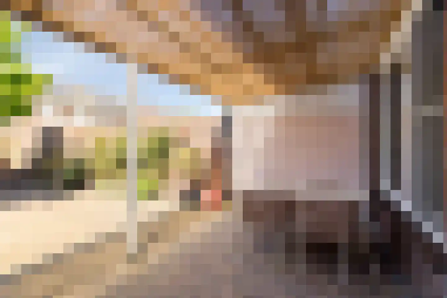 van Wisstraat 26 Helden thumbnail 30
