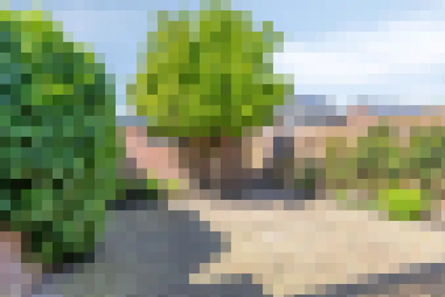 van Wisstraat 26 Helden thumbnail 31