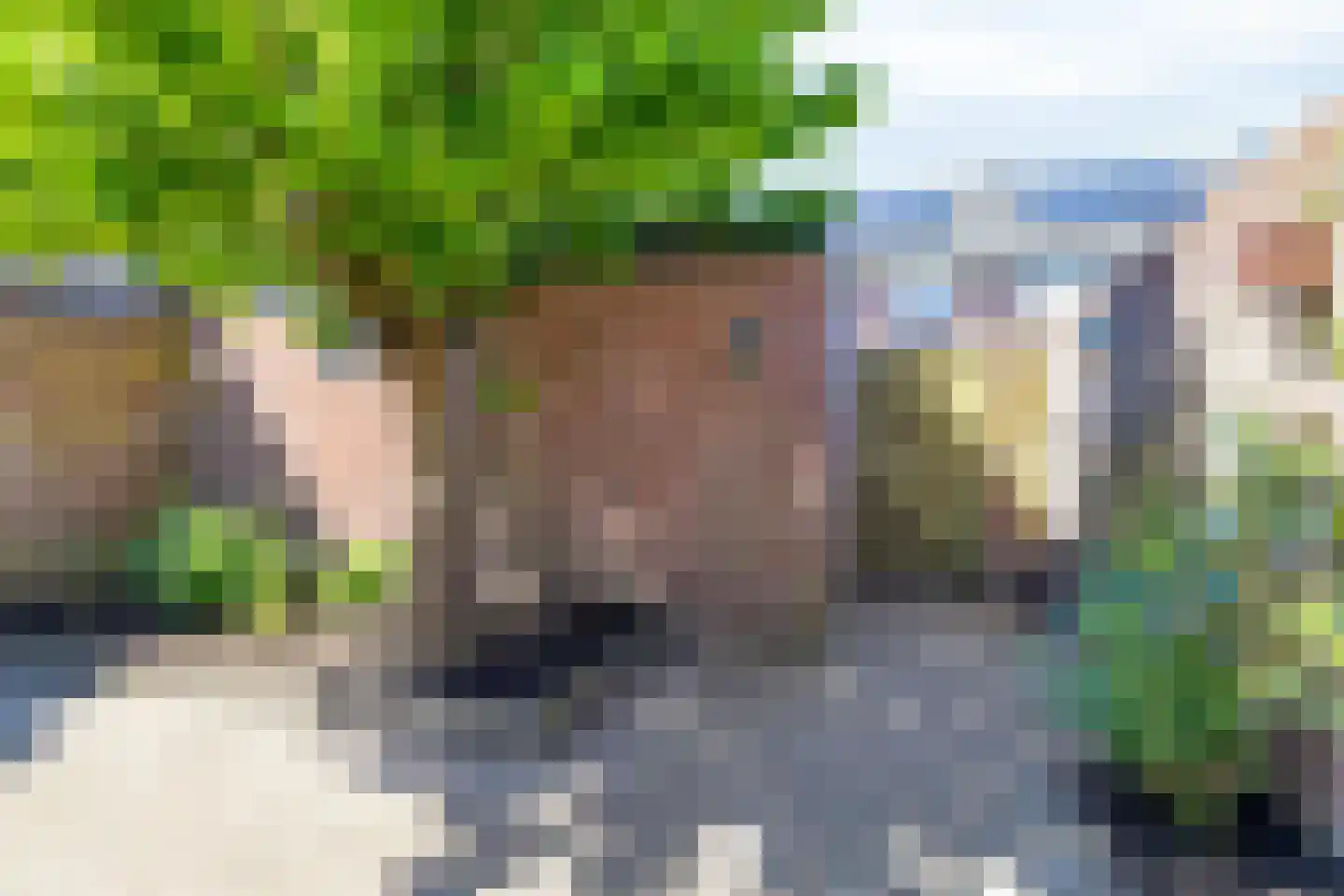 van Wisstraat 26 Helden thumbnail 32
