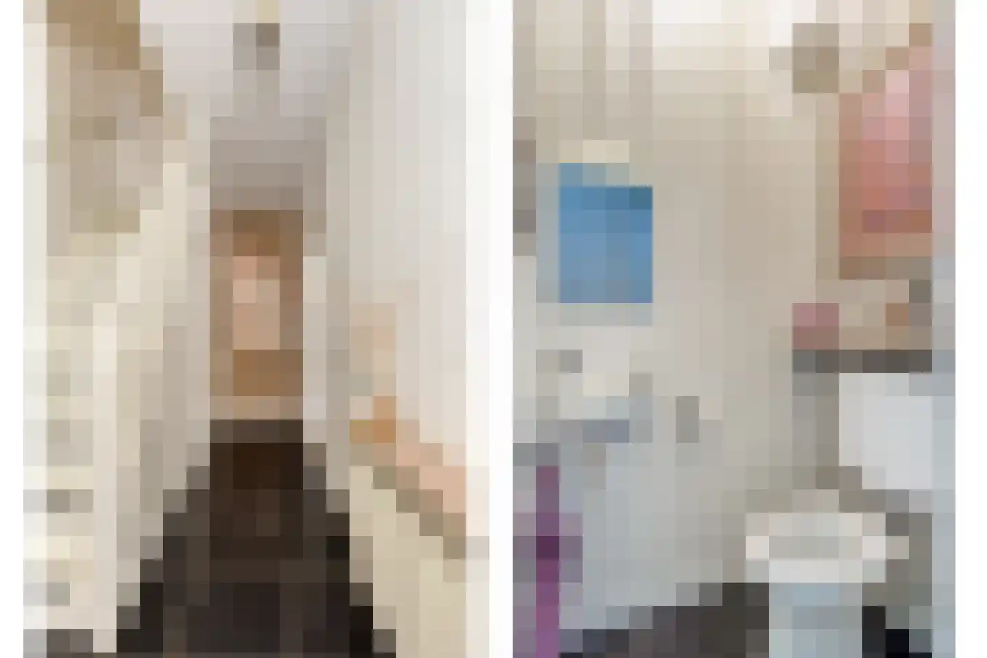 van Wisstraat 26 Helden thumbnail 6
