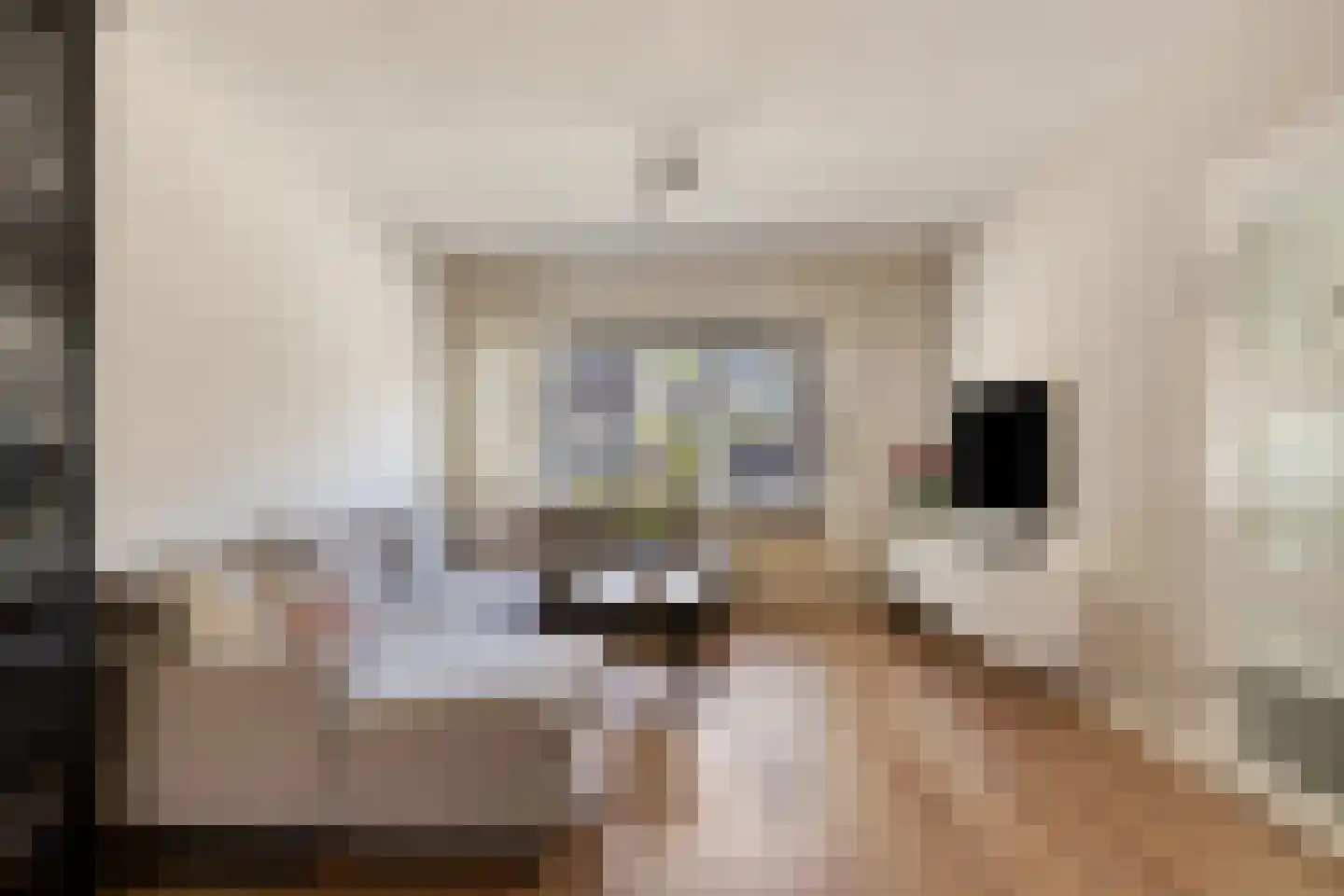van Wisstraat 26 Helden thumbnail 8