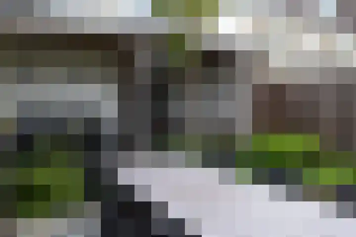 van Wittemstraat 4 Sint-Michielsgestel thumbnail 31