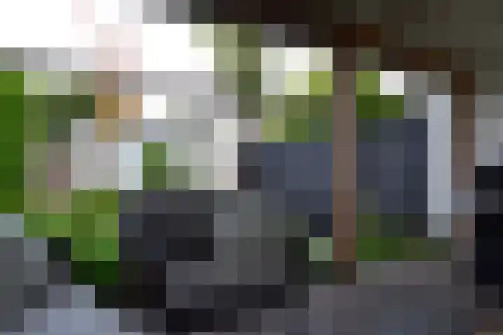 van Wittemstraat 4 Sint-Michielsgestel thumbnail 32