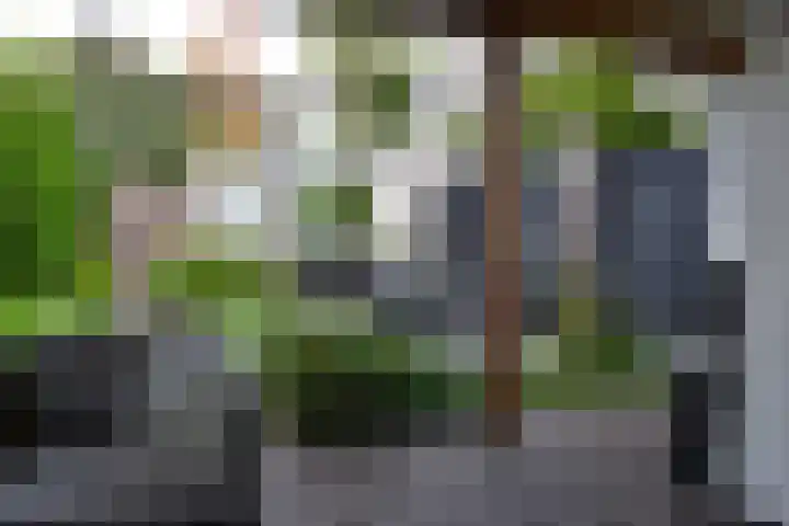van Wittemstraat 4 Sint-Michielsgestel thumbnail 33