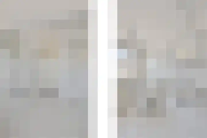 Van Woerkomstraat 12 Oosterhout thumbnail 22