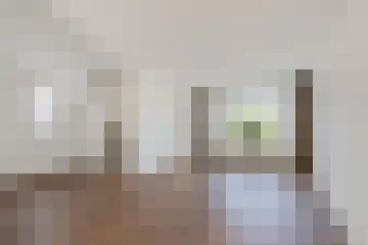Van Woerkomstraat 12 Oosterhout thumbnail 4