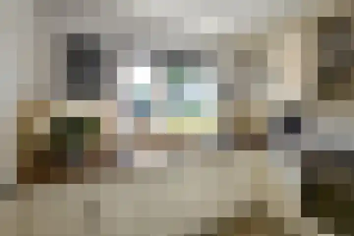 Van Woerkomstraat 24 Oosterhout thumbnail 10