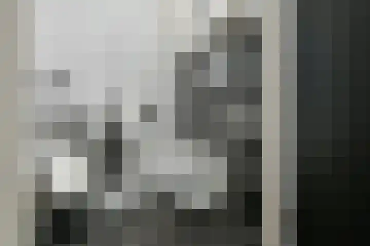 Van Woerkomstraat 24 Oosterhout thumbnail 13