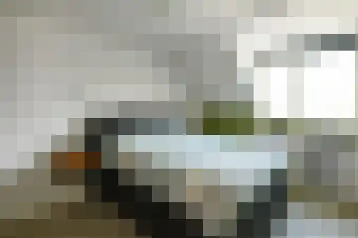 Van Woerkomstraat 24 Oosterhout thumbnail 14