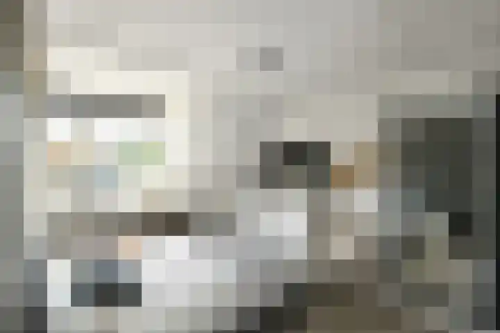 Van Woerkomstraat 24 Oosterhout thumbnail 18