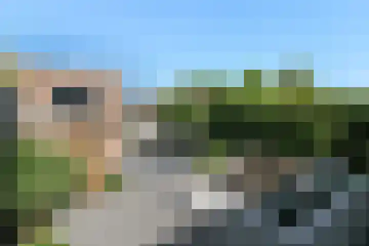 Van Woerkomstraat 24 Oosterhout thumbnail 28