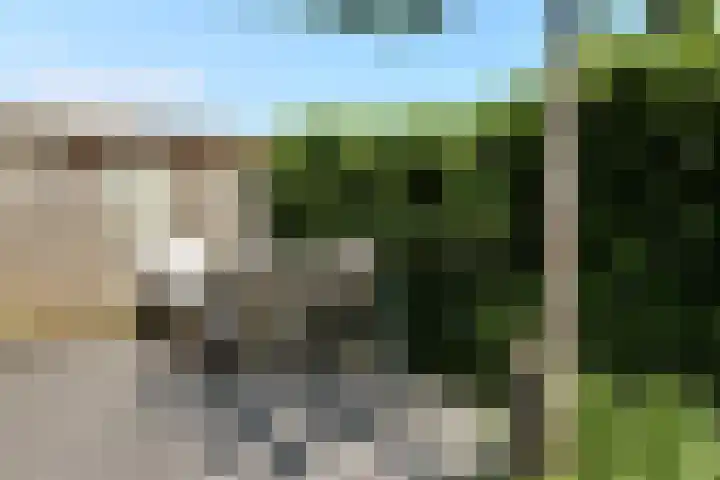 Van Woerkomstraat 24 Oosterhout thumbnail 32