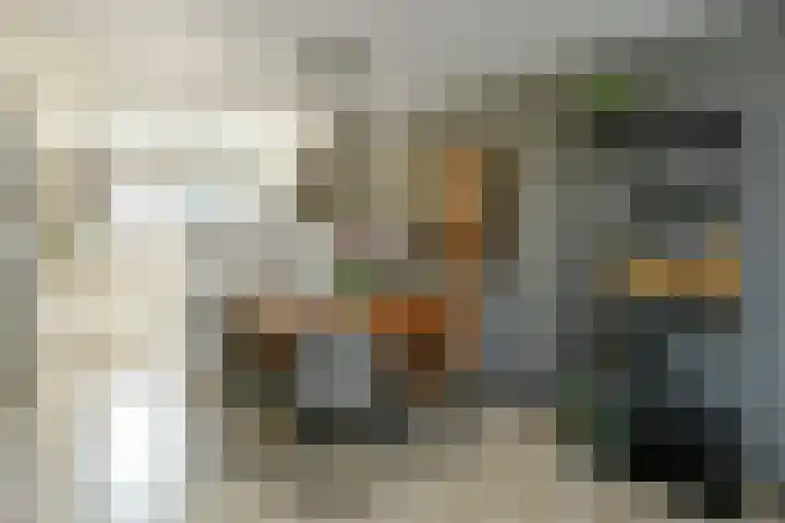 Van Woerkomstraat 24 Oosterhout thumbnail 4
