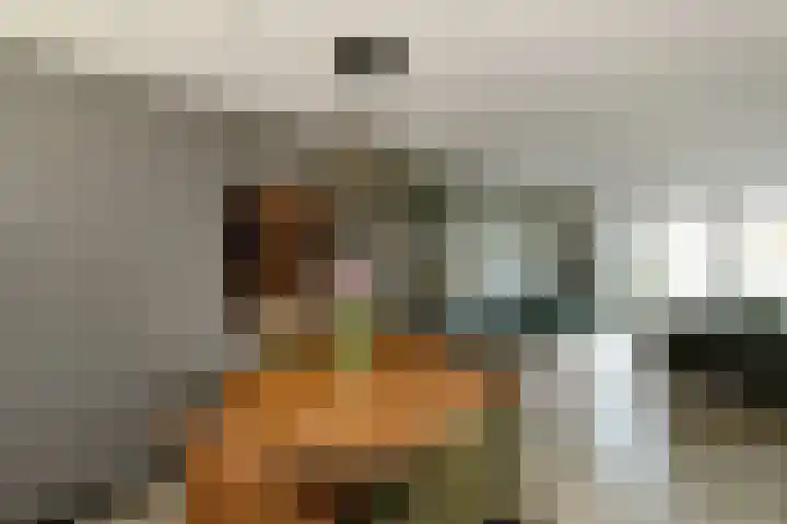 Van Woerkomstraat 24 Oosterhout thumbnail 5
