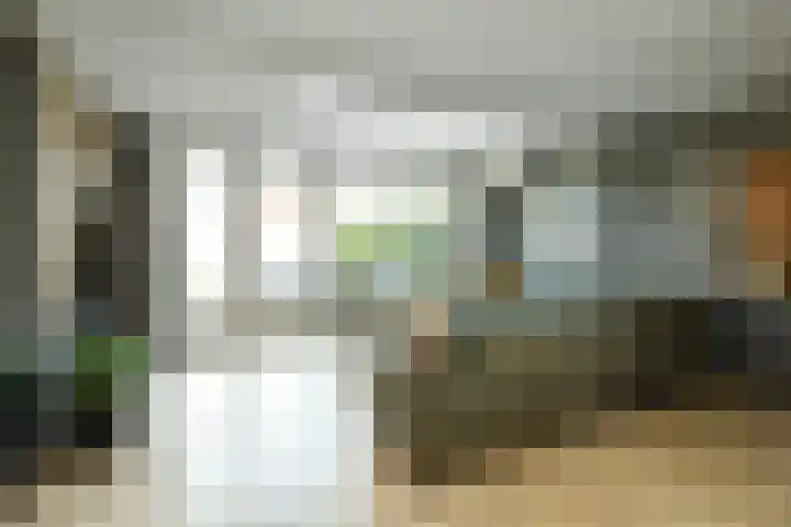 Van Woerkomstraat 24 Oosterhout thumbnail 6