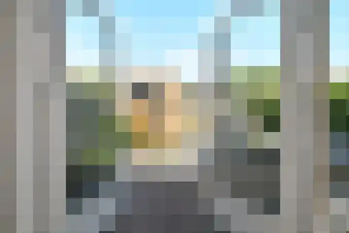 Van Woerkomstraat 24 Oosterhout thumbnail 7