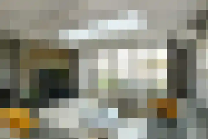 Van Woerkomstraat 24 Oosterhout thumbnail 8