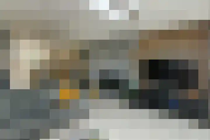 Van Woerkomstraat 24 Oosterhout thumbnail 9
