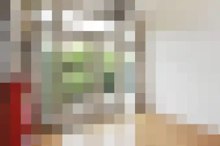 van Woudekade 20 Voorburg thumbnail 14