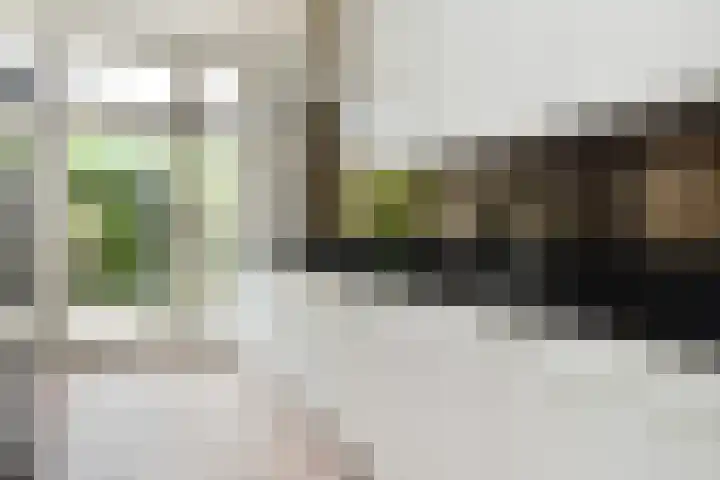 van Woudekade 20 Voorburg thumbnail 15