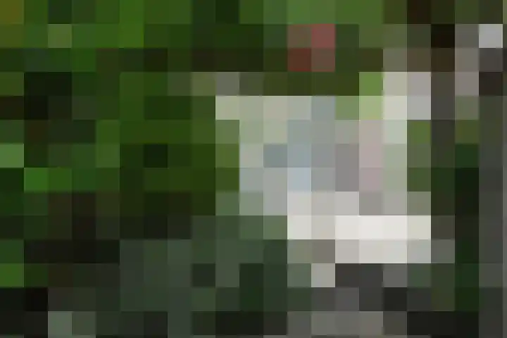 van Woudekade 20 Voorburg thumbnail 19