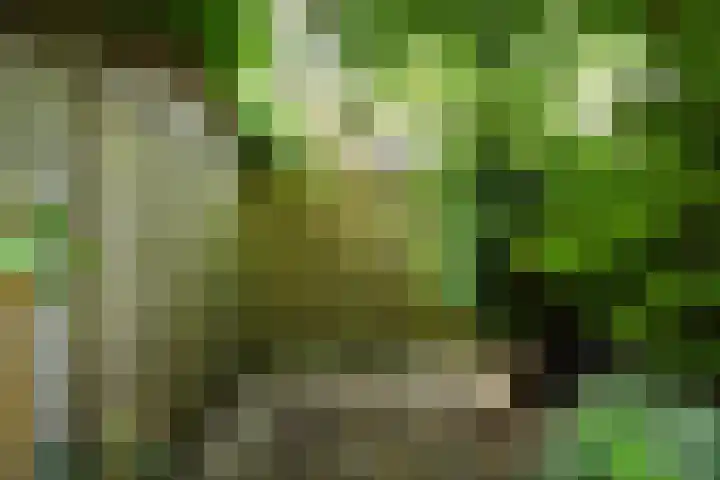 van Woudekade 20 Voorburg thumbnail 20