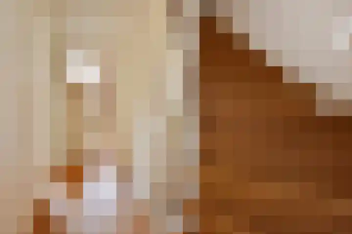 van Woudekade 20 Voorburg thumbnail 33