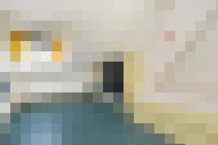 van Woudekade 20 Voorburg thumbnail 37