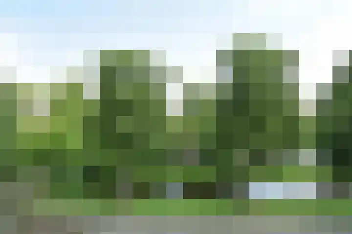 van Woudekade 20 Voorburg thumbnail 39