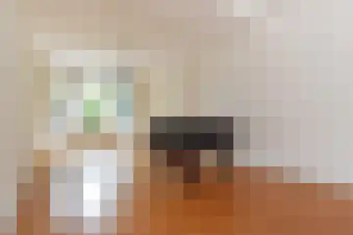 van Woudekade 20 Voorburg thumbnail 9