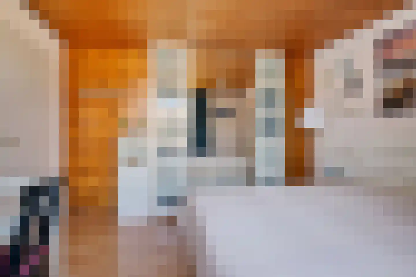 van Woudeweg 28 Woubrugge thumbnail 19