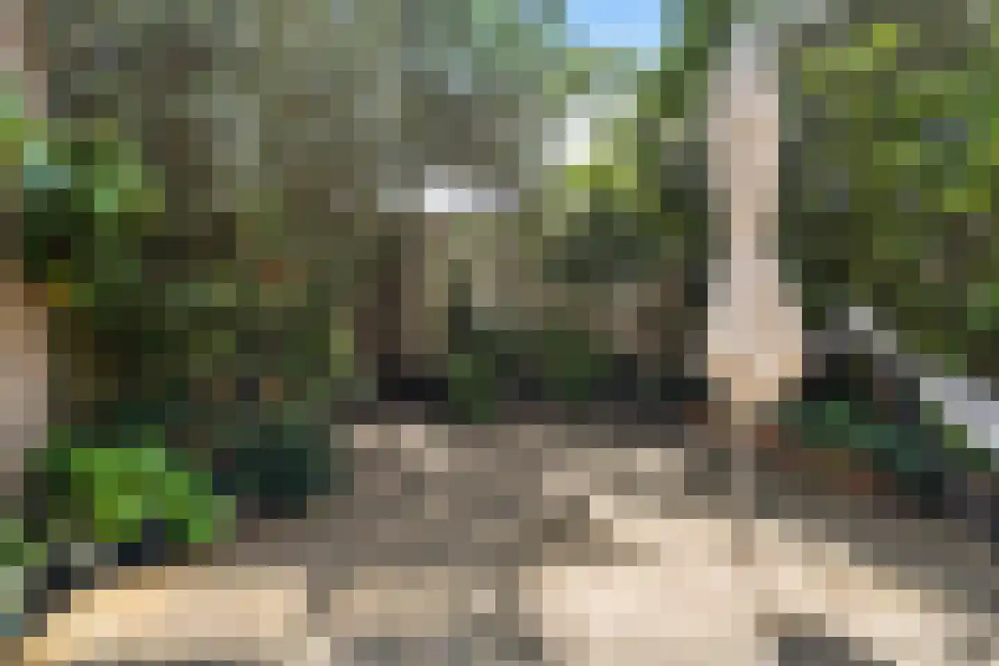 van Woudeweg 28 Woubrugge thumbnail 35