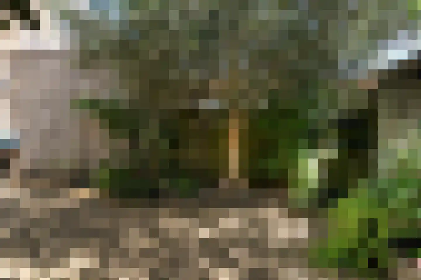 van Woudeweg 28 Woubrugge thumbnail 37