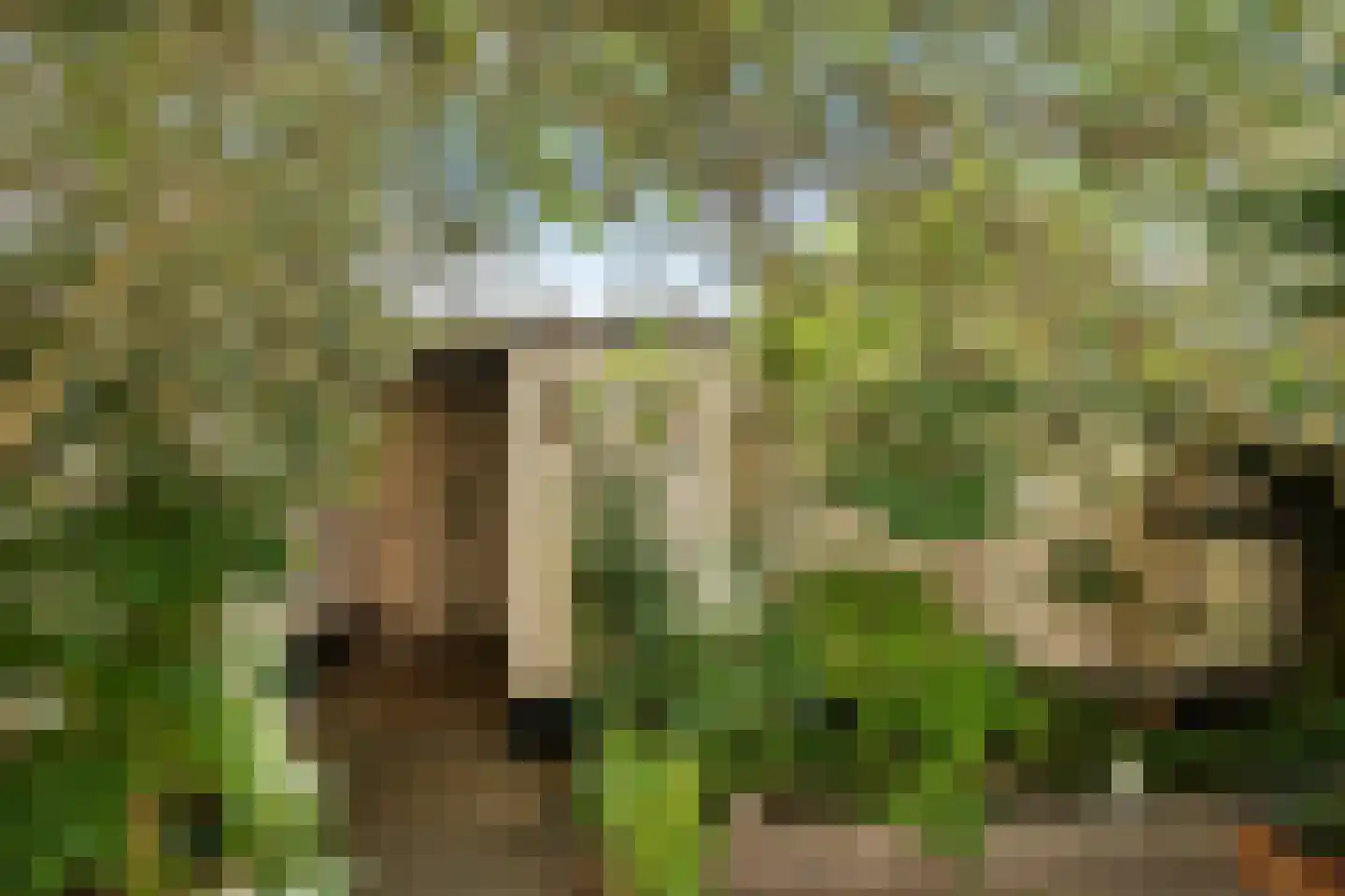 van Woudeweg 28 Woubrugge thumbnail 38
