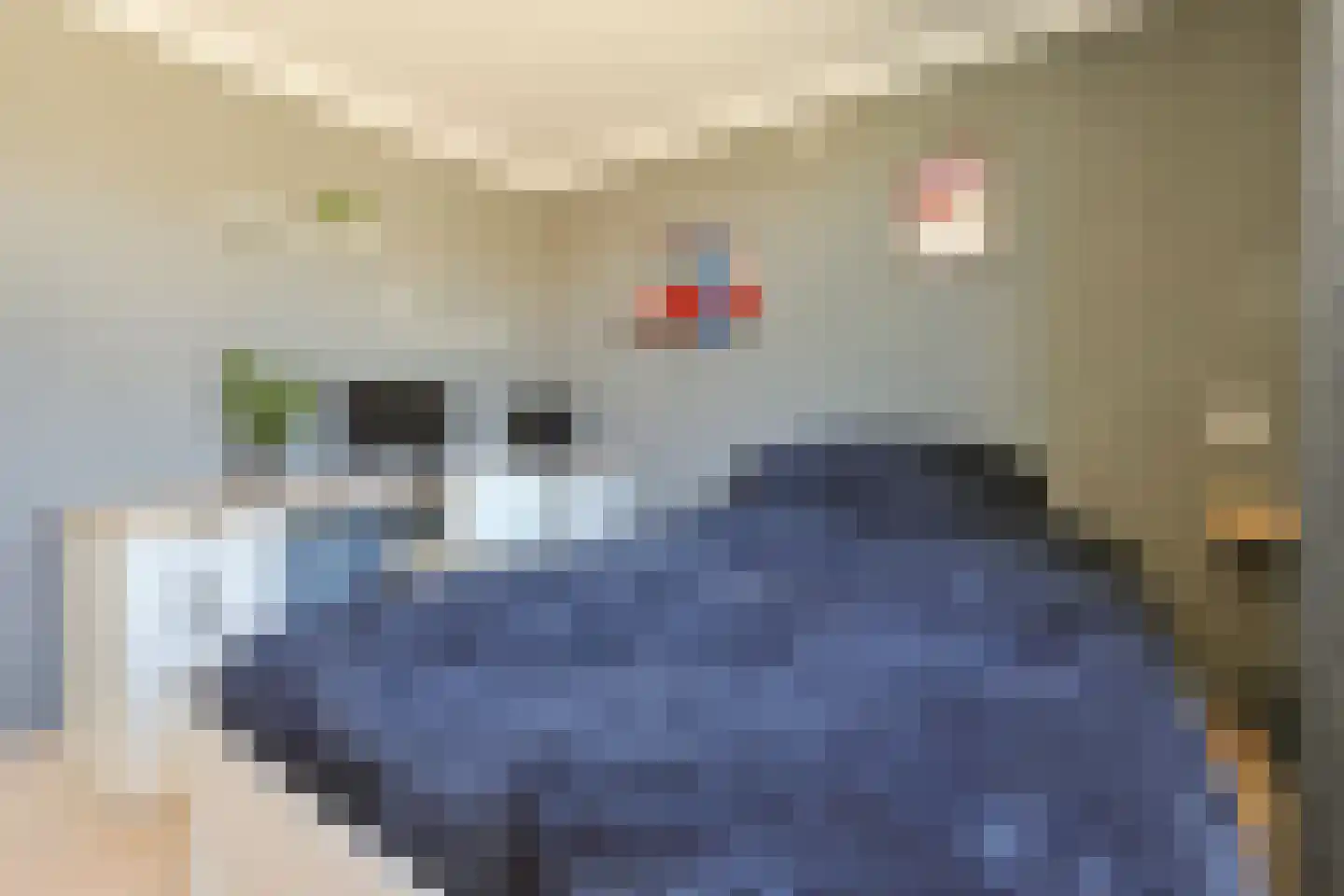 van Woudeweg 38 Woubrugge thumbnail 33