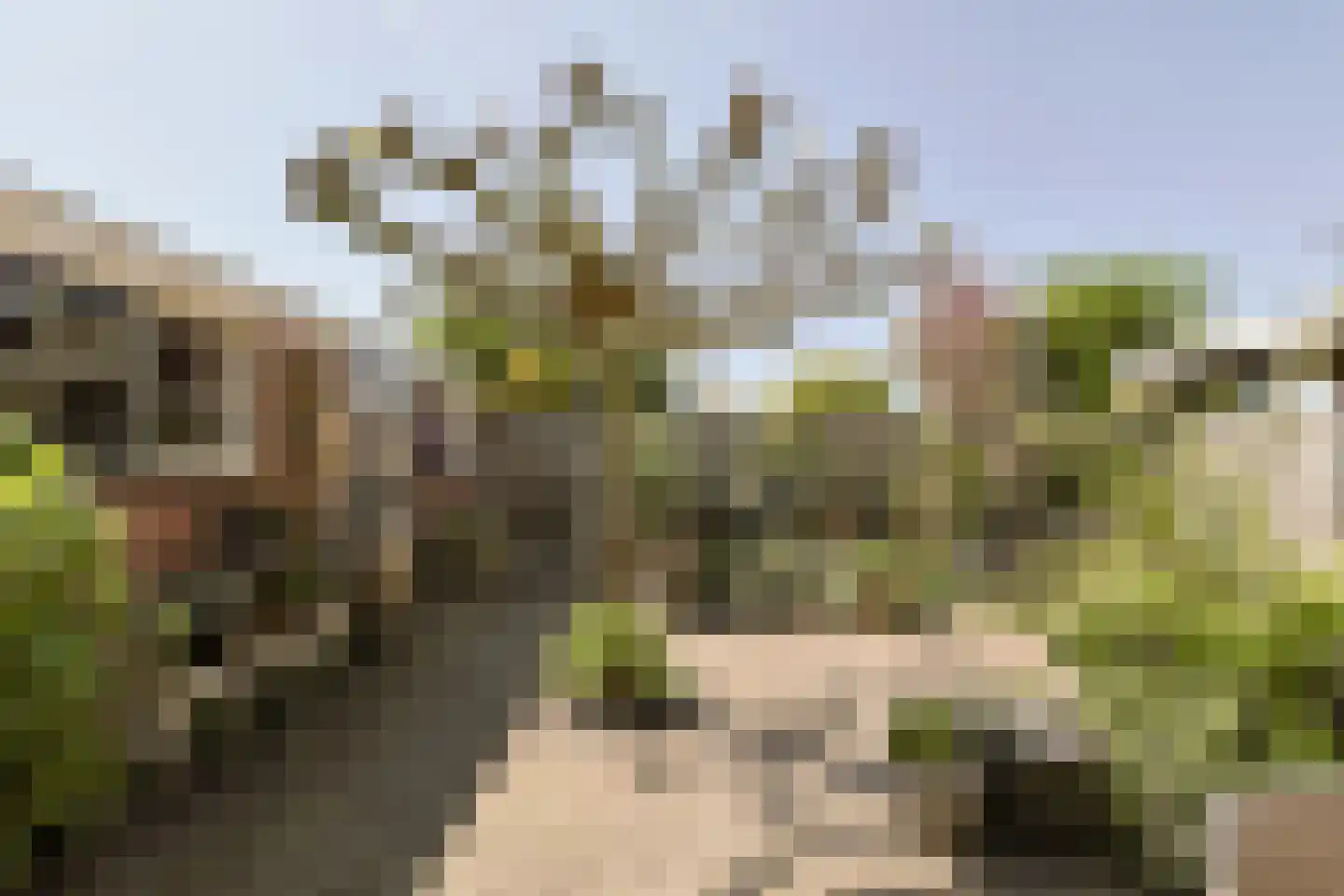 van Woudeweg 38 Woubrugge thumbnail 54
