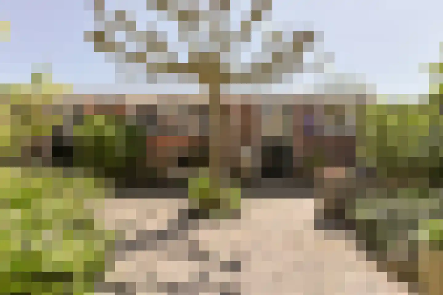 van Woudeweg 38 Woubrugge thumbnail 57