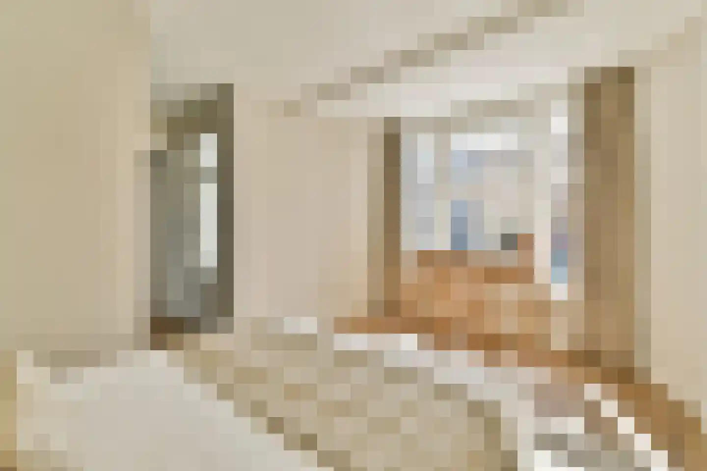 Van Woustraat 10 3 Amsterdam thumbnail 23