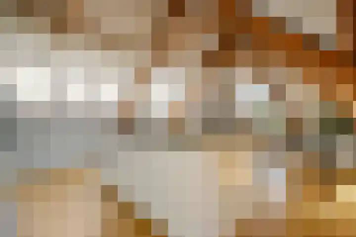 Van Woustraat 10 4 Amsterdam thumbnail 5