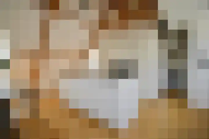 Van Woustraat 10 4 Amsterdam thumbnail 9