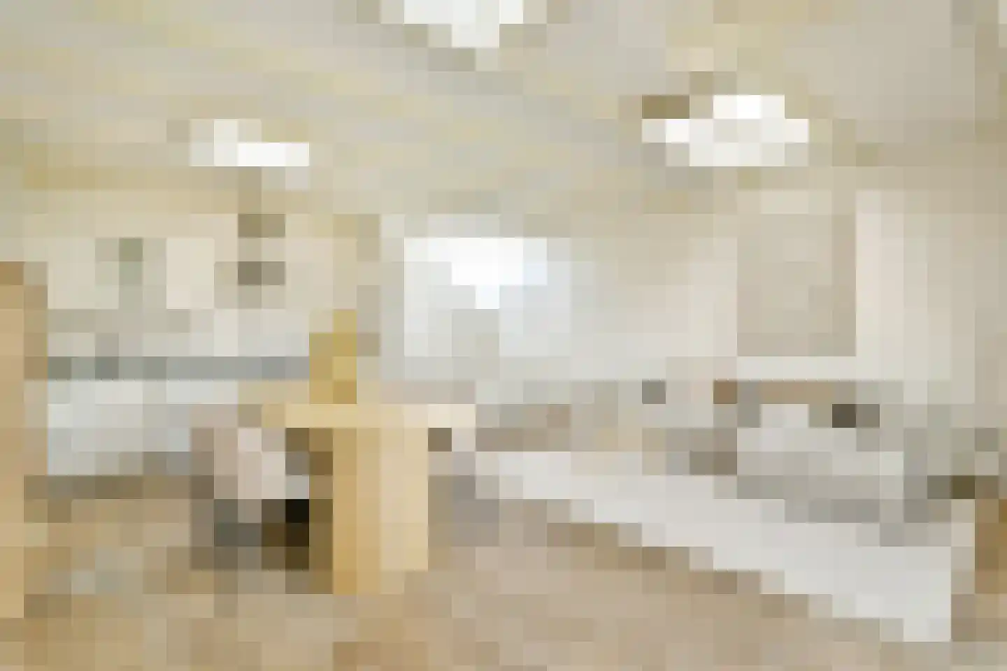 Van Woustraat 103 4 Amsterdam thumbnail 28