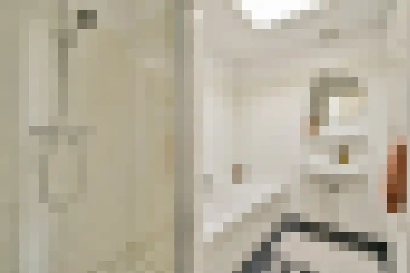 Van Woustraat 103 4 Amsterdam thumbnail 33