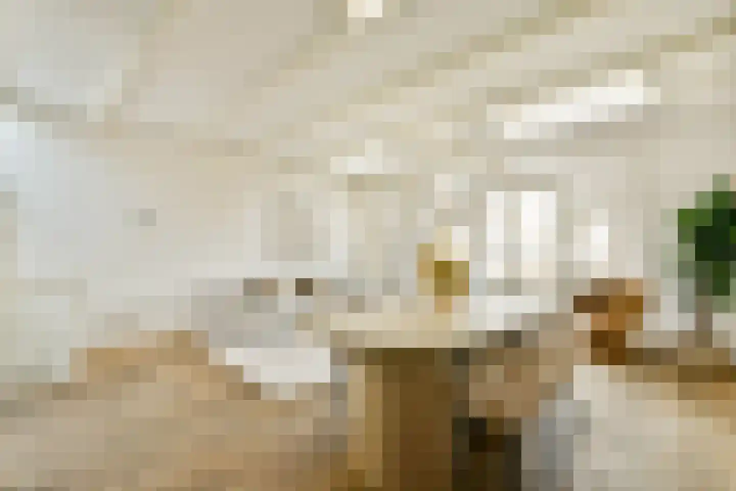 Van Woustraat 103 4 Amsterdam thumbnail 5