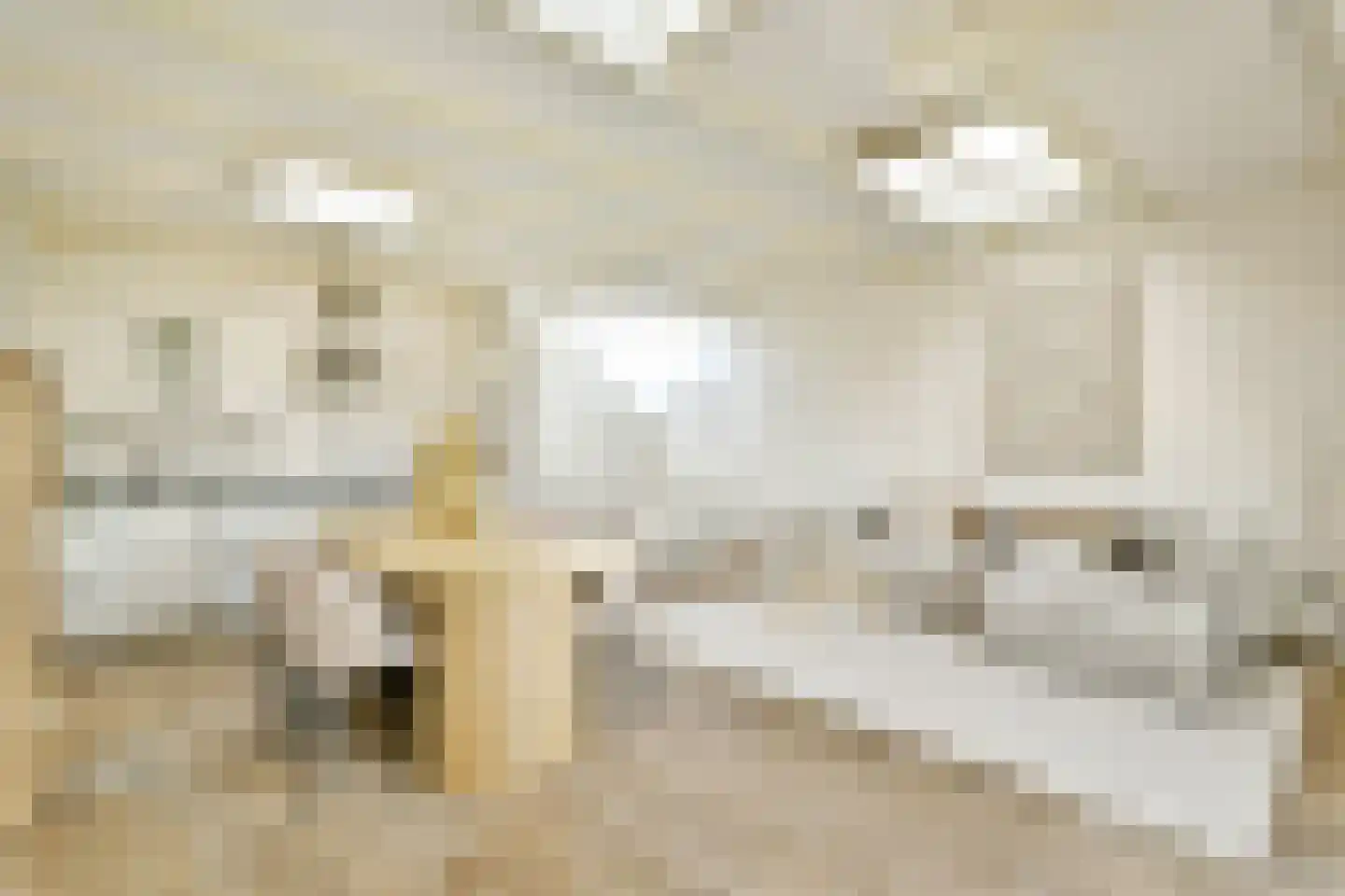 Van Woustraat 103 4 Amsterdam thumbnail 6