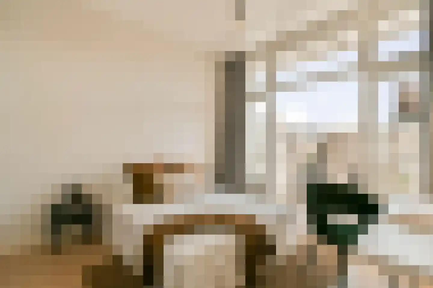 Van Woustraat 107 3 Amsterdam thumbnail 15