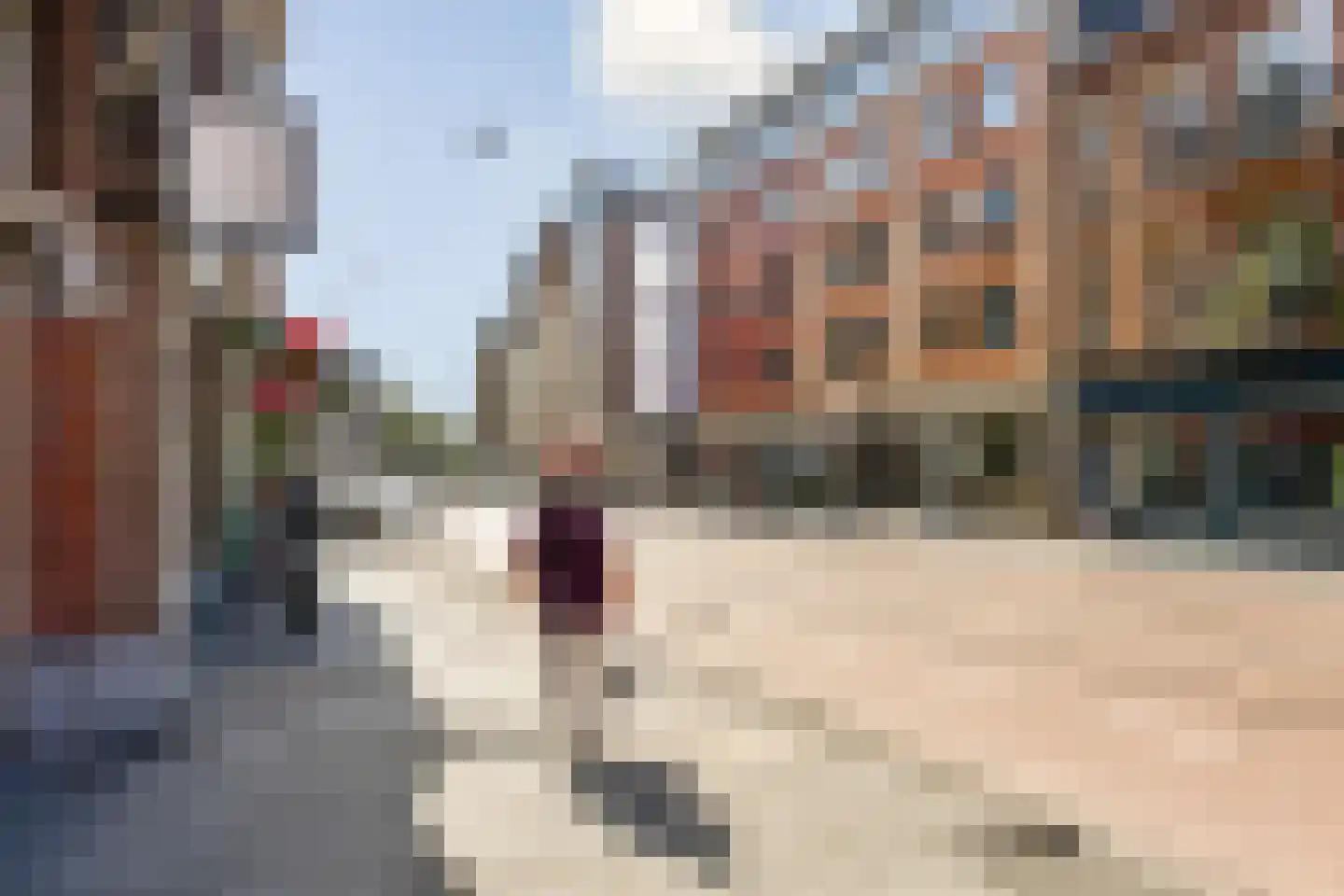 Van Woustraat 107 3 Amsterdam thumbnail 27
