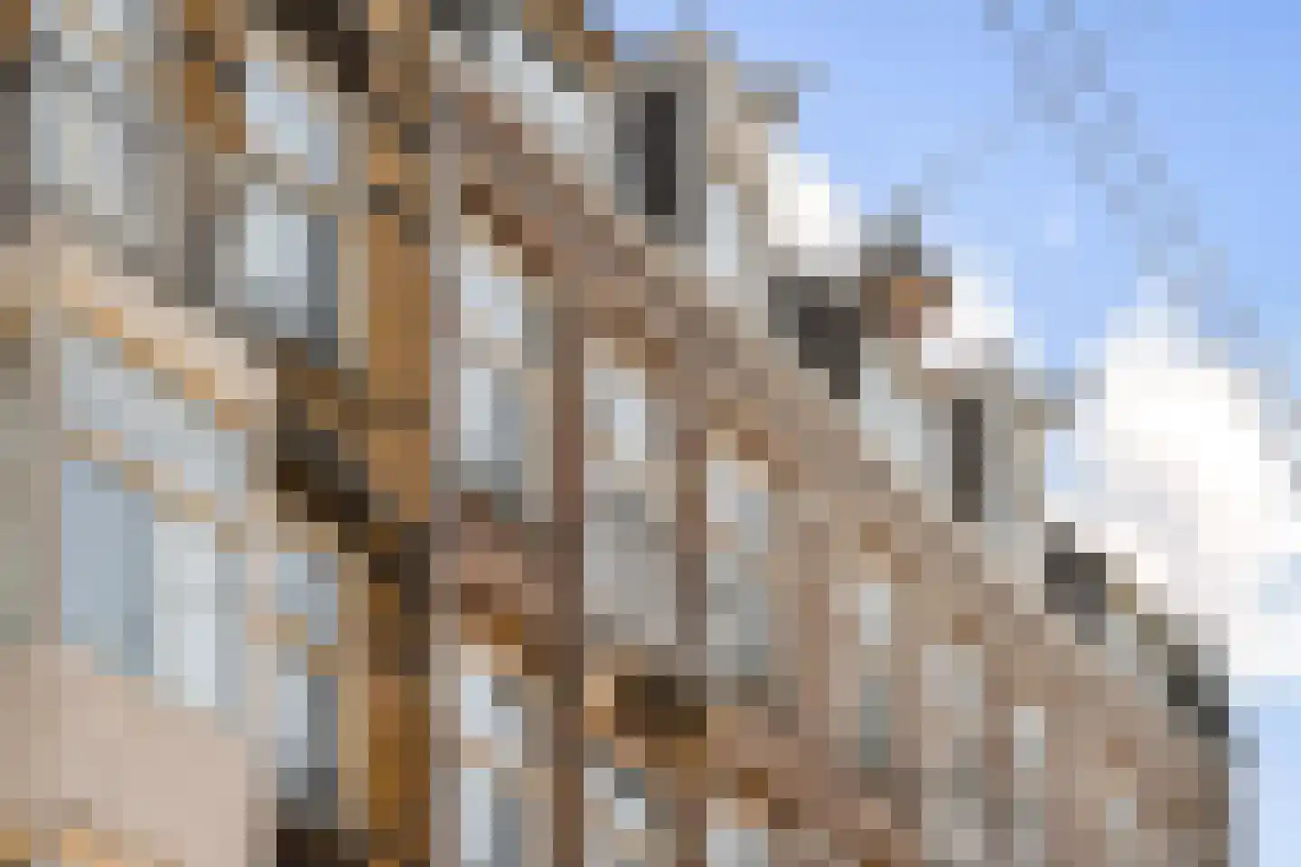 Van Woustraat 107 3 Amsterdam thumbnail 30