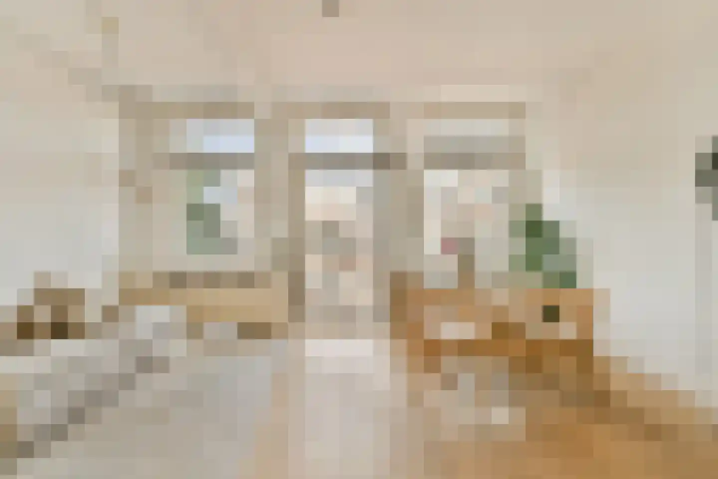 Van Woustraat 107 3 Amsterdam thumbnail 4